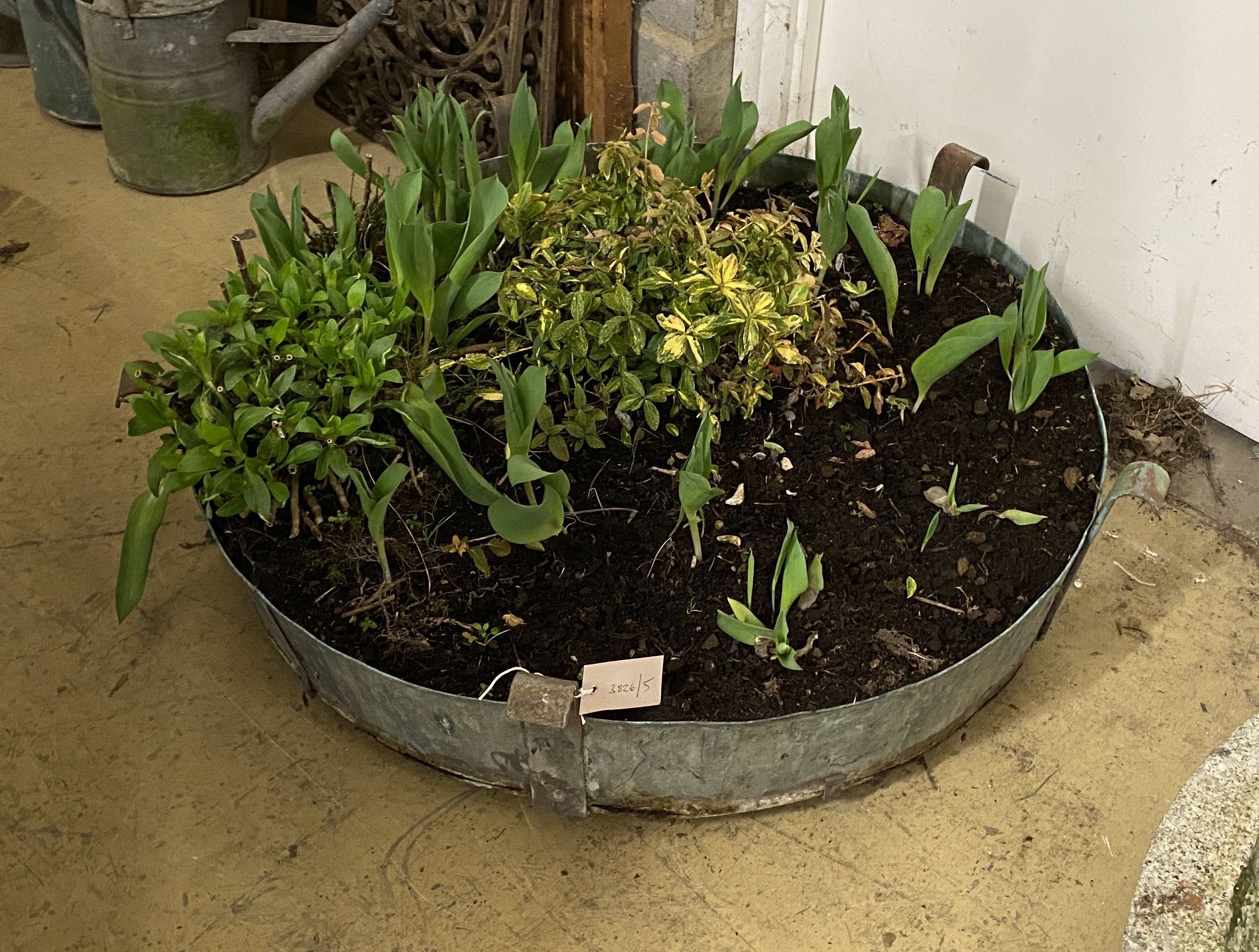 A circular galvanised metal garden planter, diameter 80cm